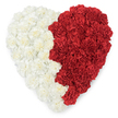 A plush, heart-shaped floral composition built entirely from tightly clustered carnations sits against a crisp white backdrop, its surface alive with ruffled texture and three-dimensional depth. The left half is a field of soft off-white and cream carnations, their layered, frilled petals folding into one another to create a pillowy, tactile effect that reads almost like woven fabric. The right half answers with a rich, saturated red-deep, velvety carnations densely placed so each bloom's crinkled edge and central eye is visible, giving the heart a lively, tactile energy. Down the centre runs a clear dividing line where the two colour fields meet; it is slightly wavy and organic rather than perfectly straight, a deliberate seam that adds movement and life to the composition while gently suggesting a symbolic split that recombines into a single loving shape. The overall impression is intimate and ceremonial: a sculpted emblem of affection, national belonging, or remembrance. To a local eye in New Cross, the arrangement's measured restraint and refined palette recall the quiet commemorations tended in Telegraph Hill Park or the carefully chosen tributes left near Goldsmiths on graduation days. There is a soft morning light across the petals, hinting at the faint, green-tinged scent of freshly cut stems and the cool dampness of a florist's bench after preparing flowers for same-day delivery around New Cross and nearby Deptford. Crafted with the kind of meticulous attention a seasoned florist gives to shape and line, this carnation heart reads as both an objet d'art and an emotional offering-comforting, resolute, and gently eloquent in its contrast of calm ivory and passionate red.